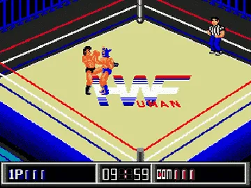 Thunder Pro Wrestling Retsuden (Japan) screen shot game playing